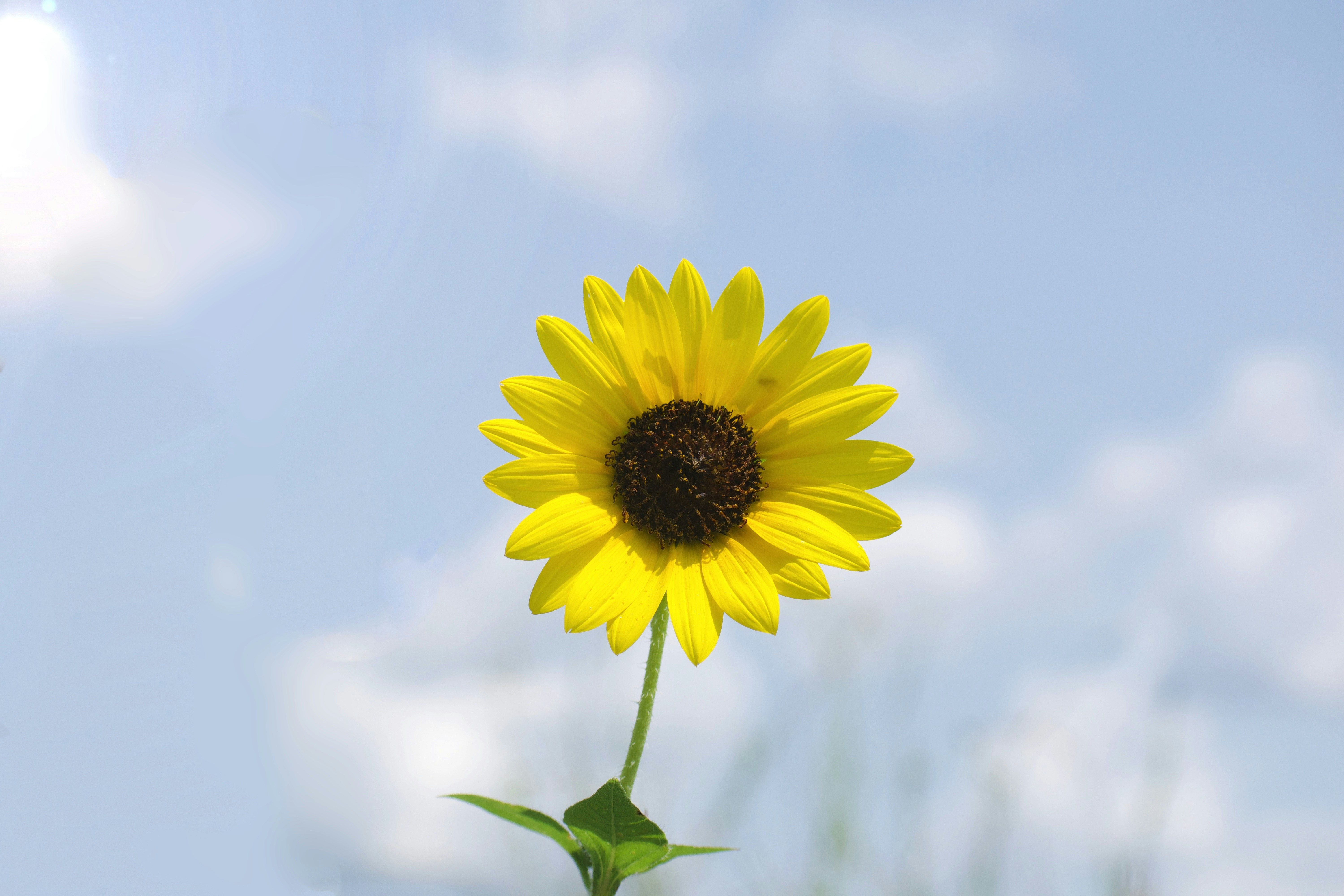 Photo by luketittley