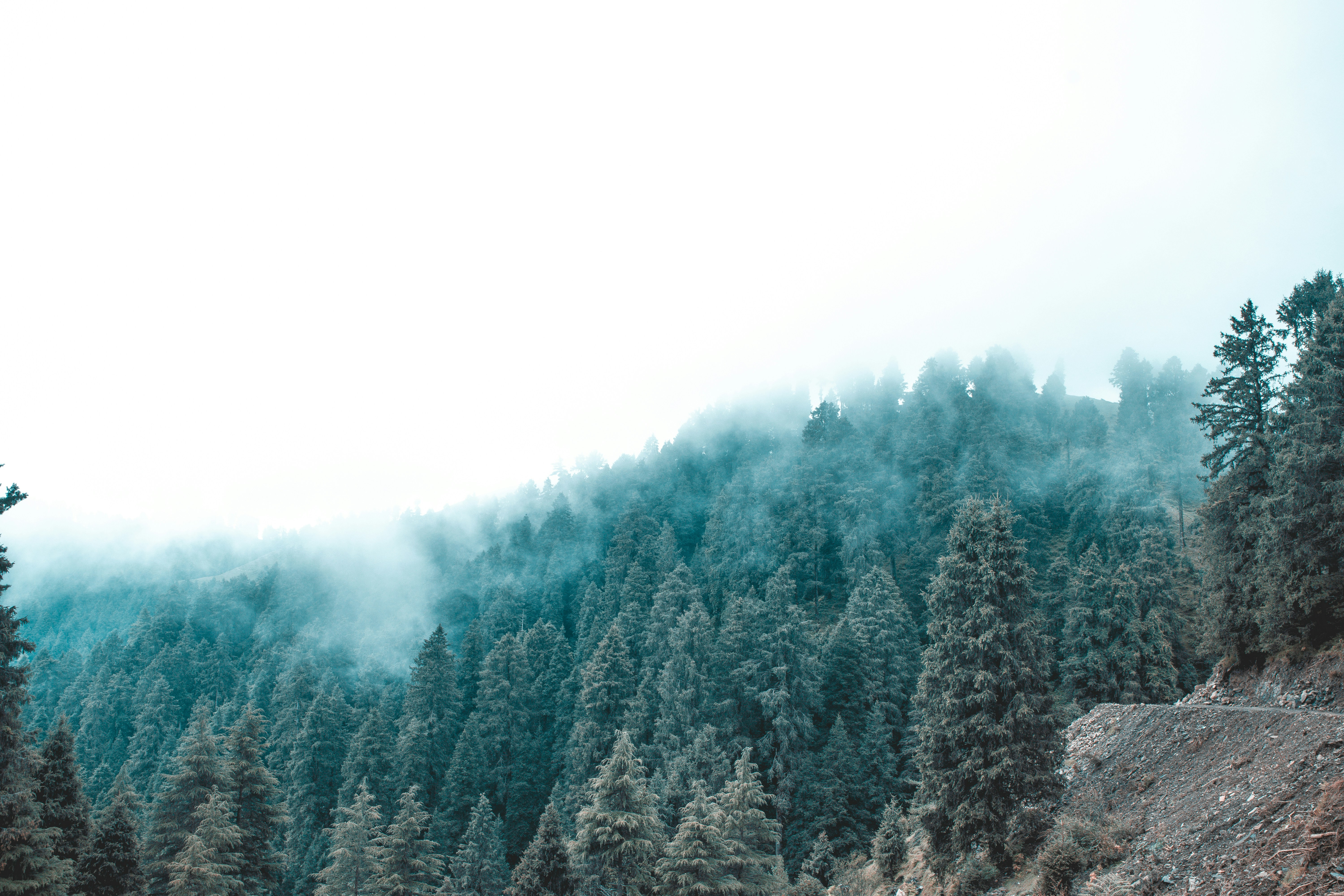 Photo by naresh_kumar