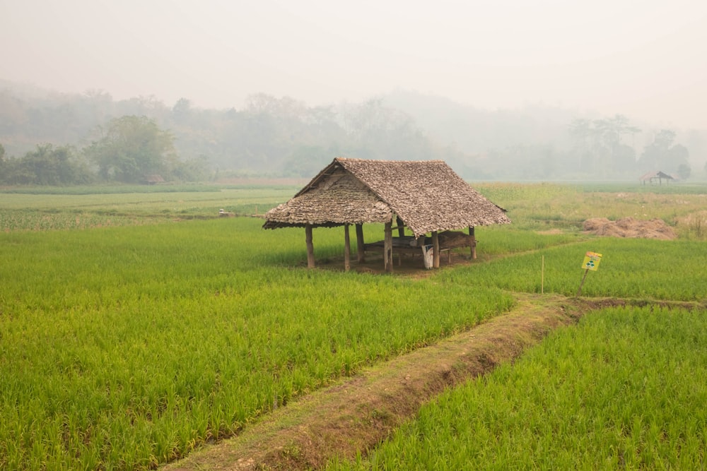 brown wooden house on green grass field during daytime