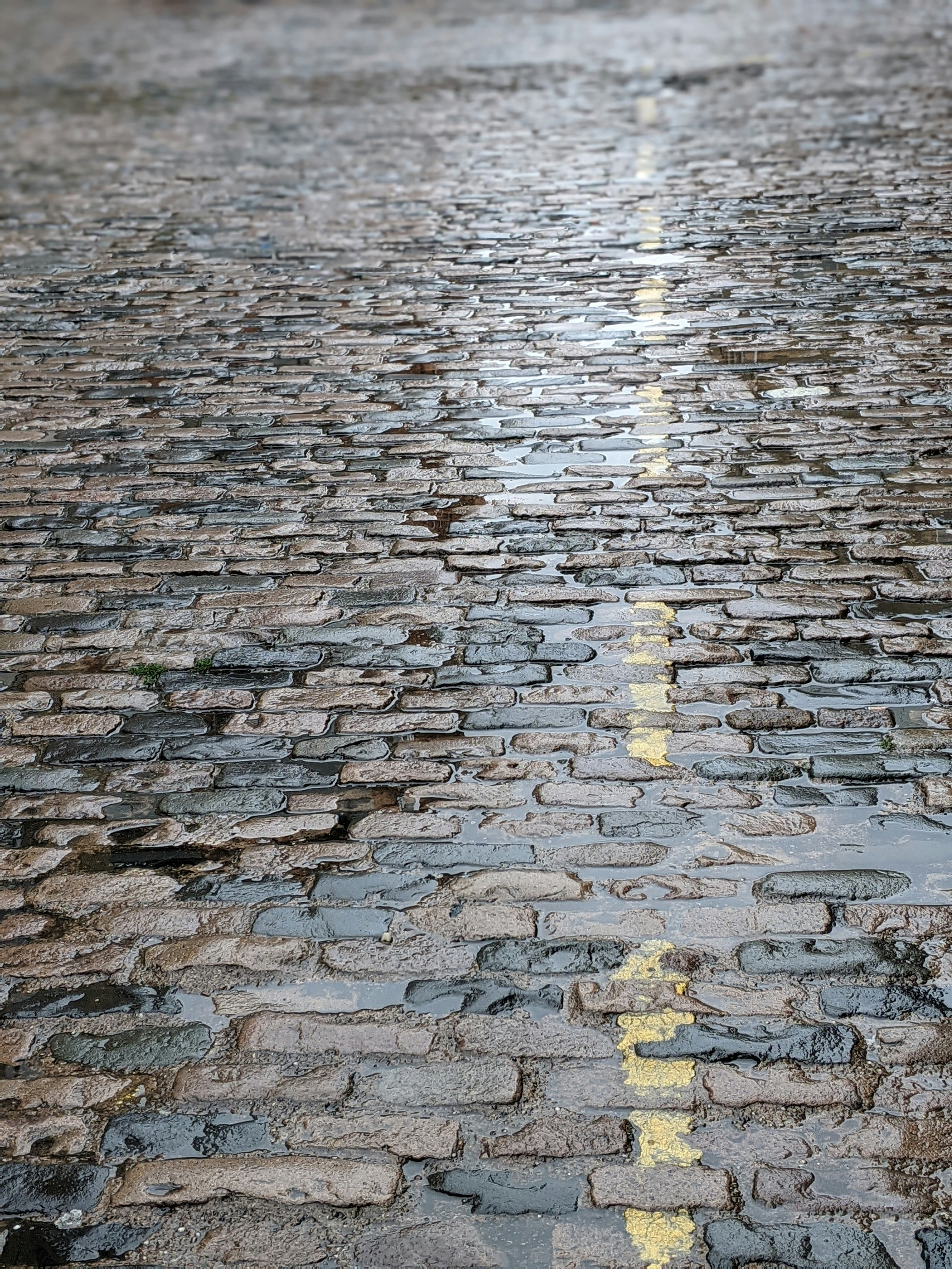 Photo by chrisgrahamdack