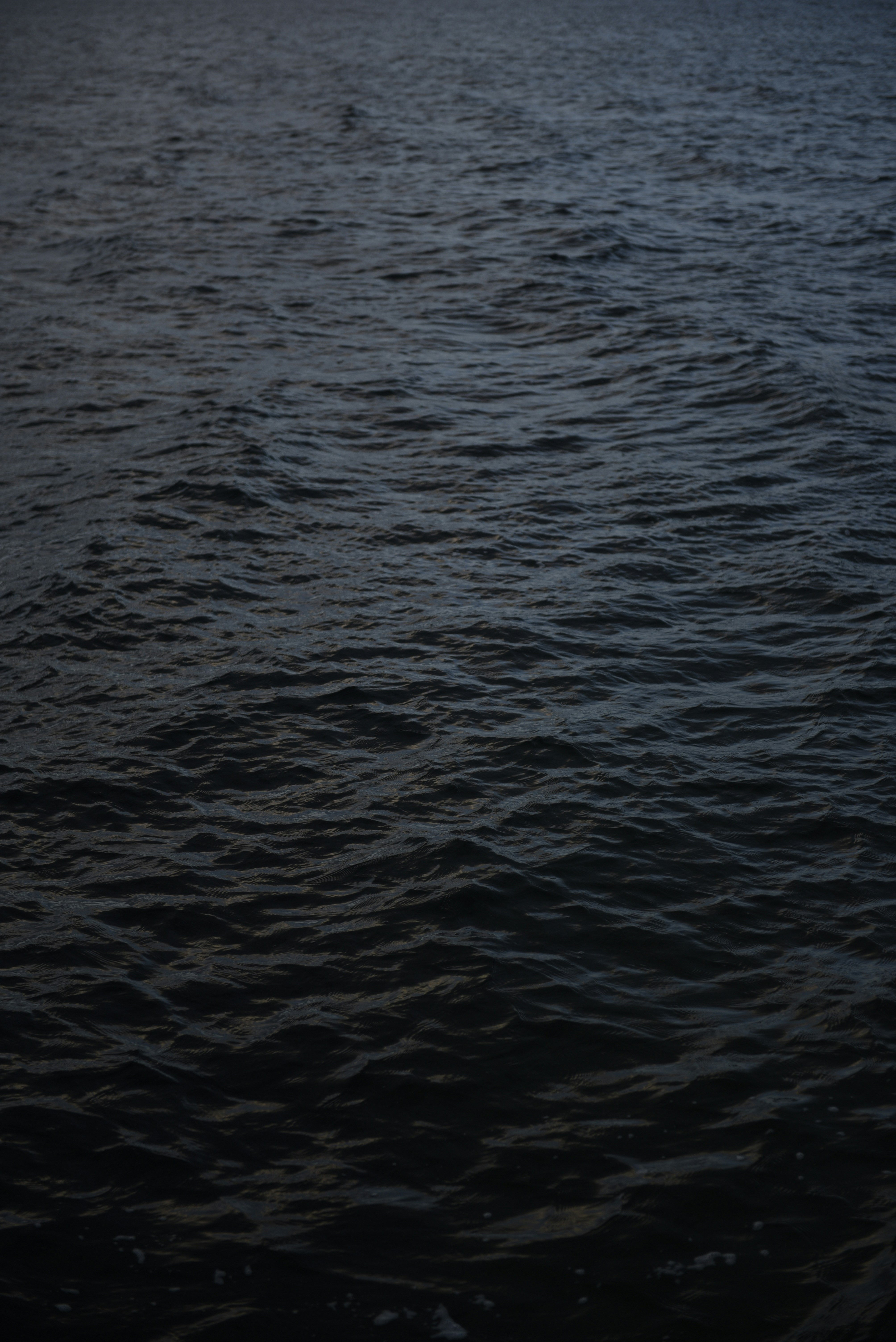 Photo by niklasgarnholz