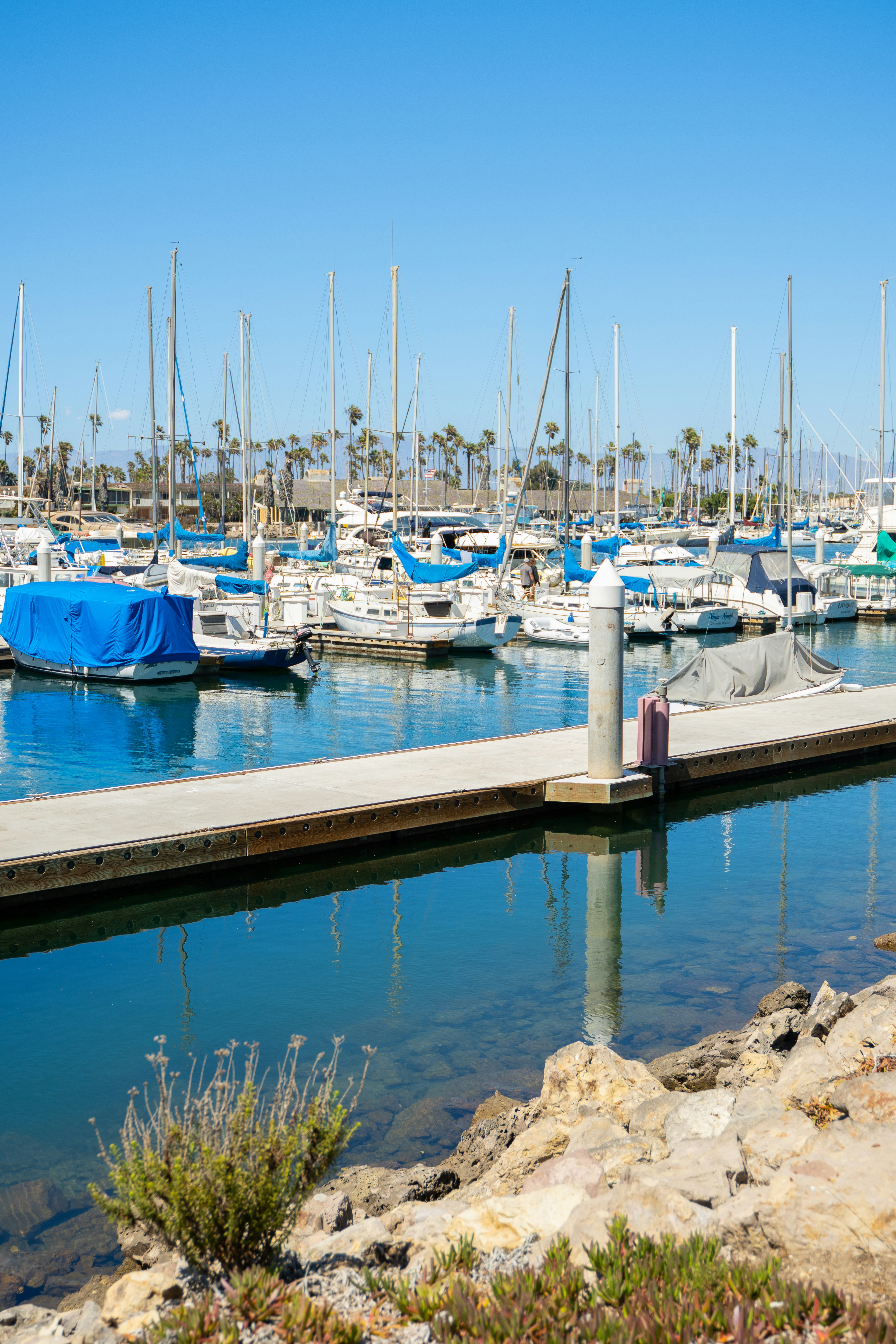 Photo by michael_kitchen