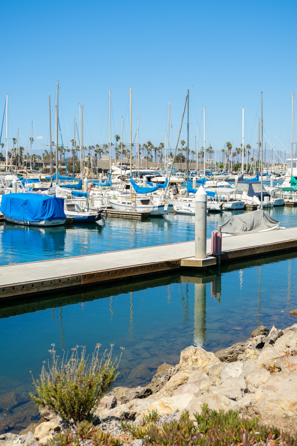 white and blue boats on dock during daytime