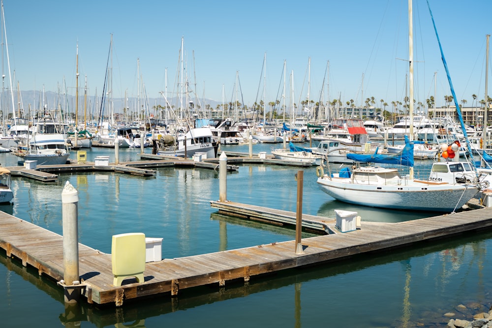 white and blue boats on dock during daytime