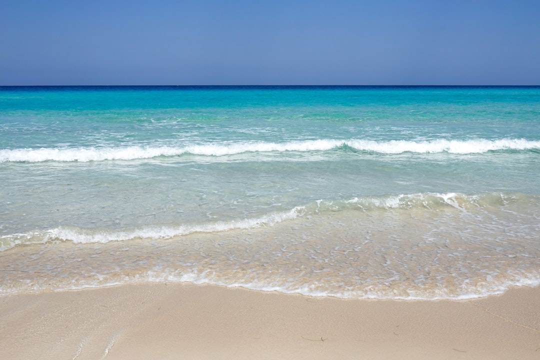 sea waves crashing on shore during daytime