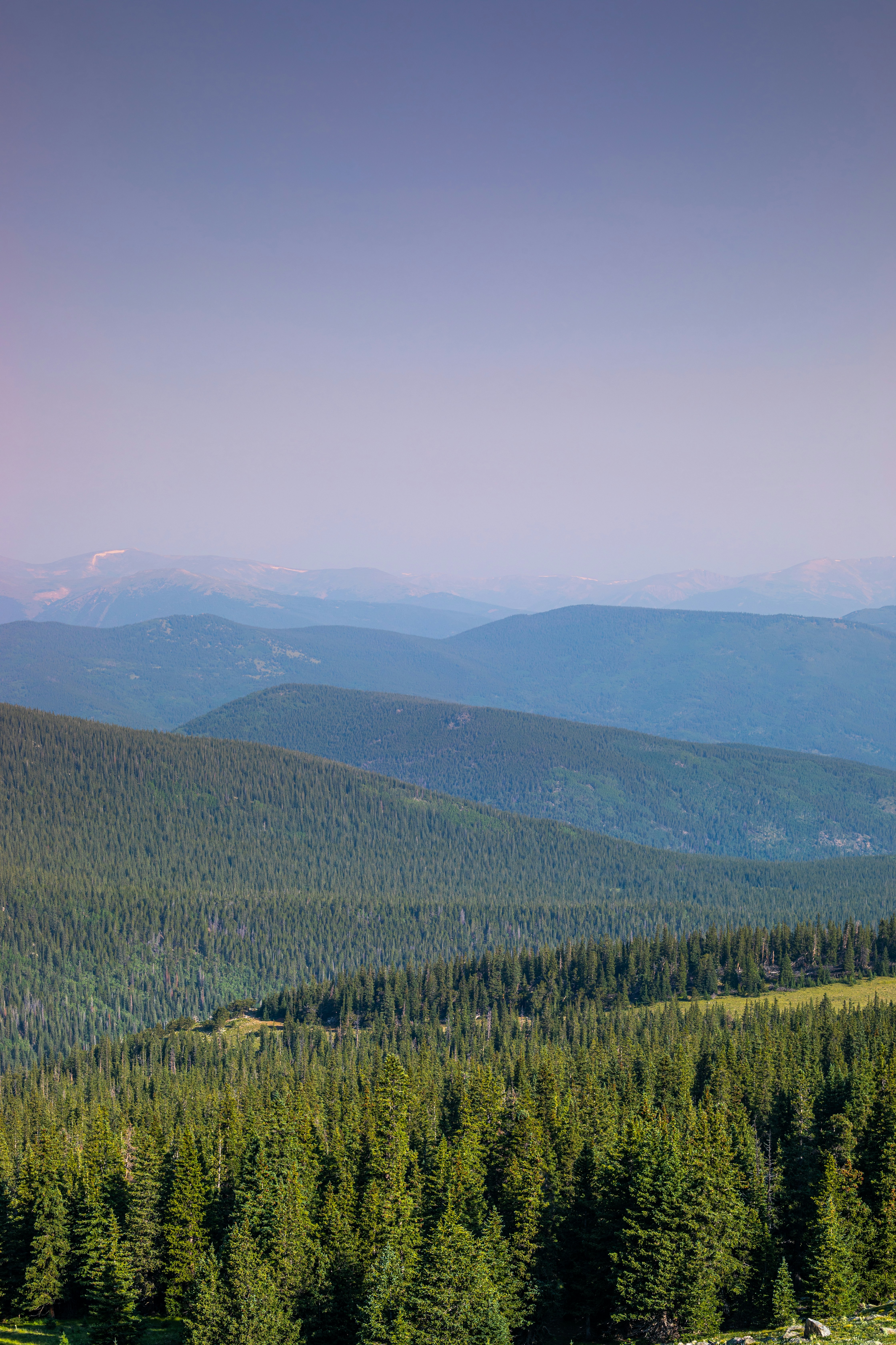 Photo by photosoflogan