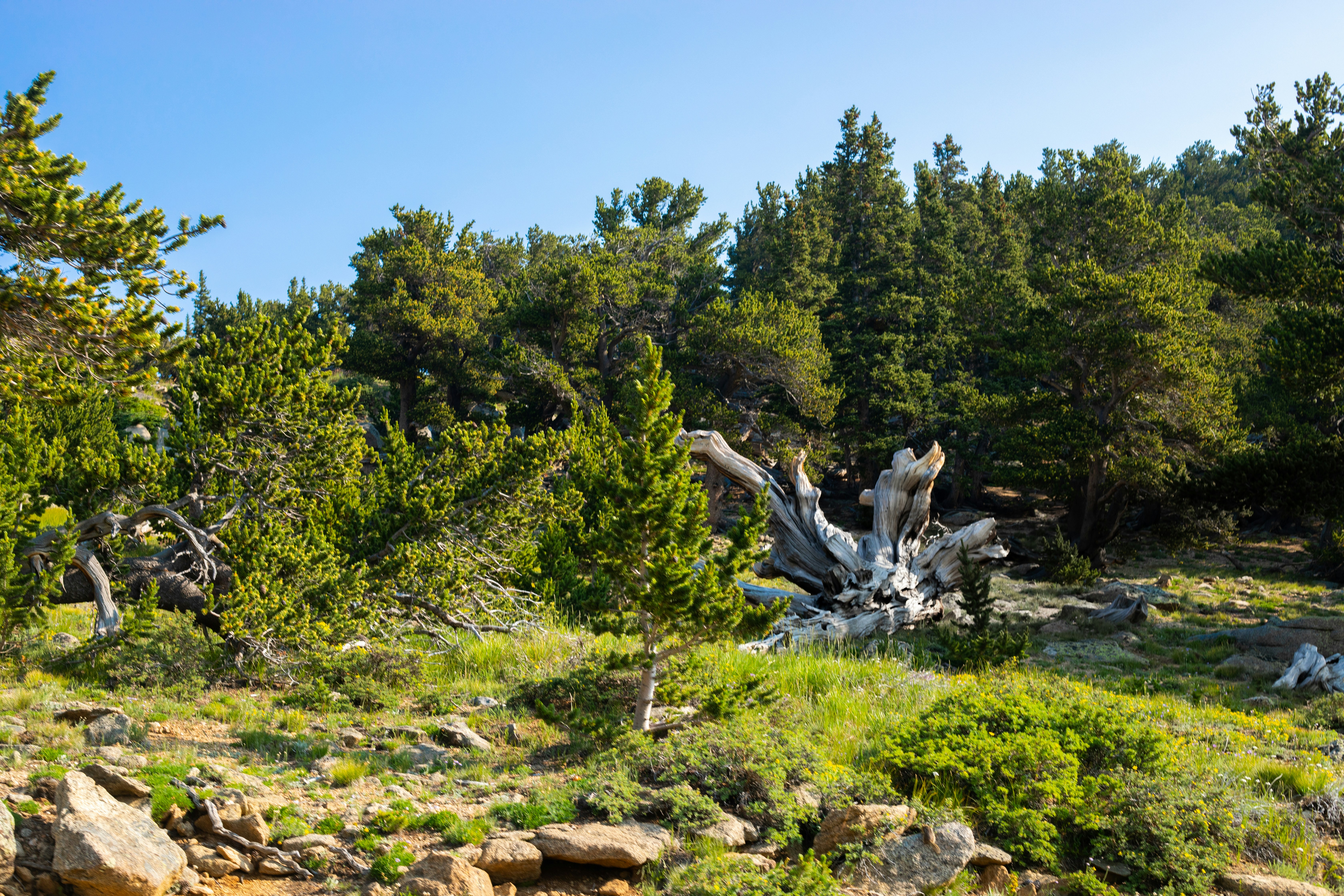 Photo by photosoflogan