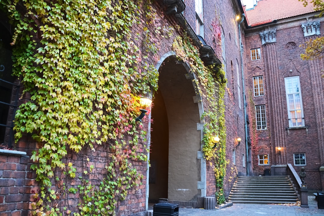 brown brick building with green vines
