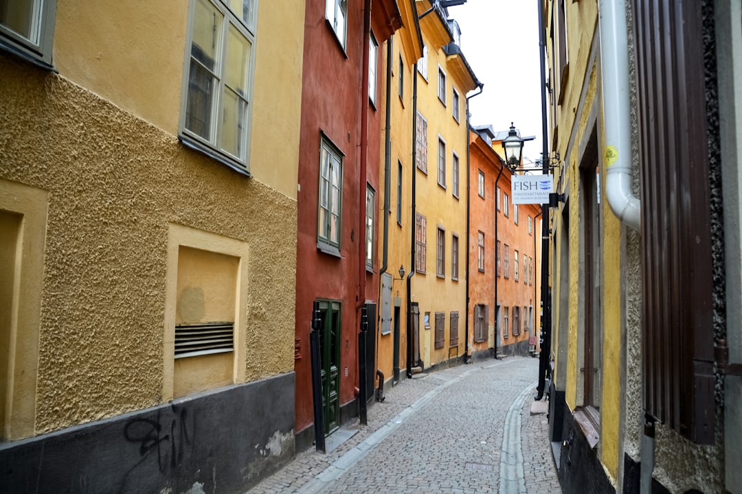 empty street in between of brown concrete buildings during daytime