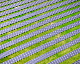 An array of solar panels arranged in parallel rows on a lush green field, capturing sunlight for energy conversion. The solar panels create a pattern of alternating blue and green stripes.