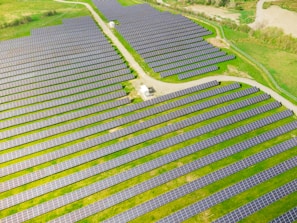 Workers operating manual mowers in a vast solar panel field.
