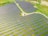 Rows of solar panels are arranged in a large open field, creating a pattern across the landscape. The panels are evenly spaced and set on a grassy terrain with some pathways cutting through the area.