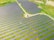 Rows of solar panels are arranged in a large open field, creating a pattern across the landscape. The panels are evenly spaced and set on a grassy terrain with some pathways cutting through the area.