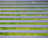 Rows of solar panels are aligned symmetrically over a green grass field, indicating a solar farm designed for harnessing solar energy.