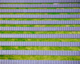 green and white striped textile
