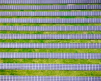 green and white striped textile