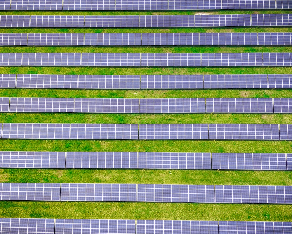 têxtil listrado verde e branco