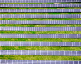 Rows of solar panels are aligned symmetrically over a green grass field, indicating a solar farm designed for harnessing solar energy.