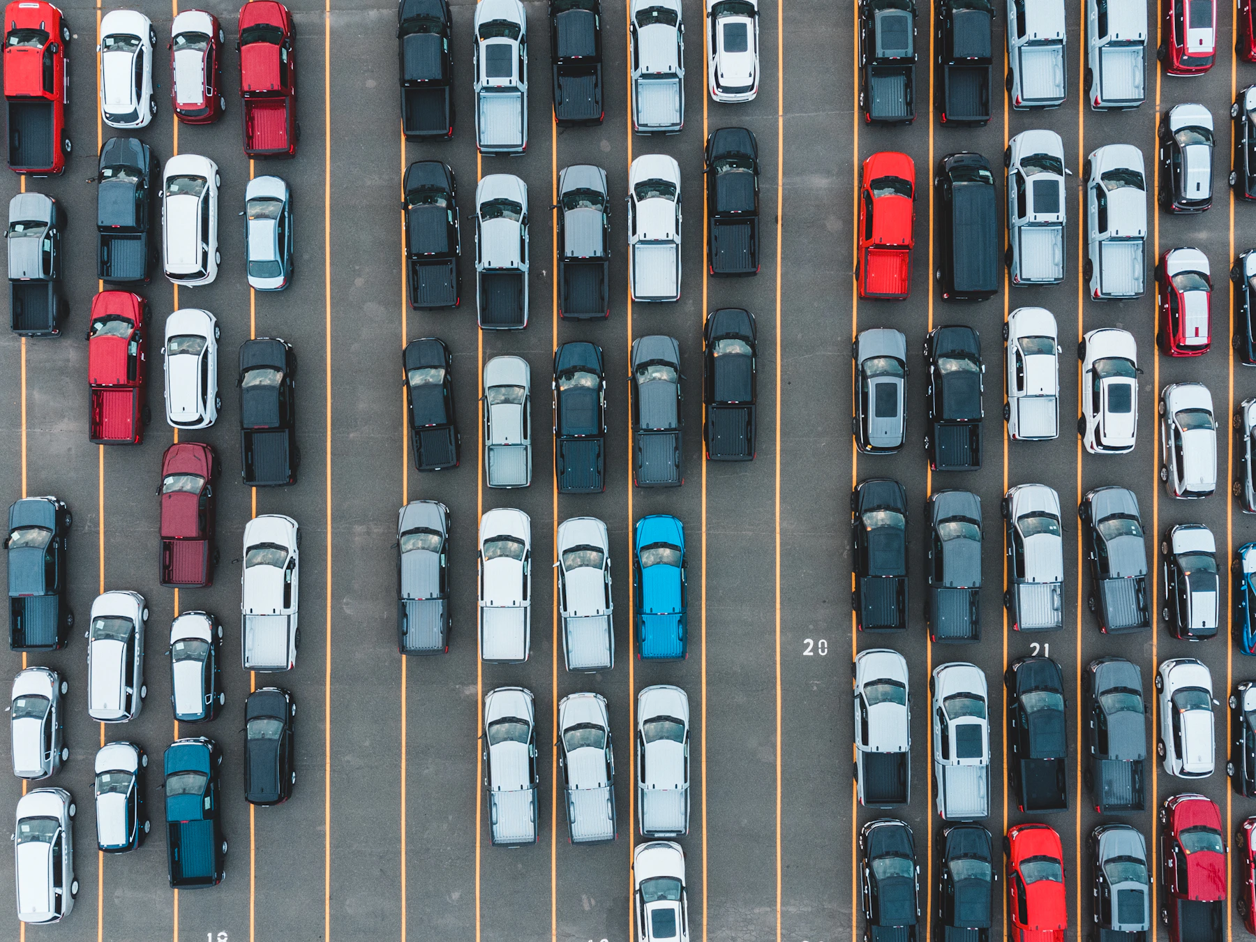 A lineup of vehicles in a parking area