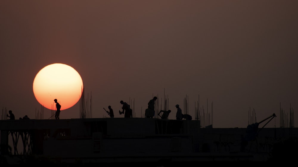 silhouette of people standing on field during sunset