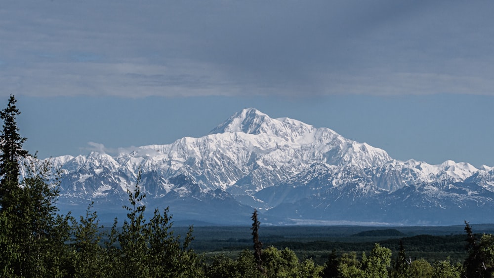 snow covered mountain during daytime