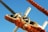 Portrait of a weathered and rusty metal shackle connected to an orange braided rope, captured against a clear blue sky. The ropes, bolts, and fastener hardware seem to be a part of a larger structure or mechanism, likely nautical in nature. There are signs of use and corrosion, suggesting the arrangement is exposed to harsh elements.