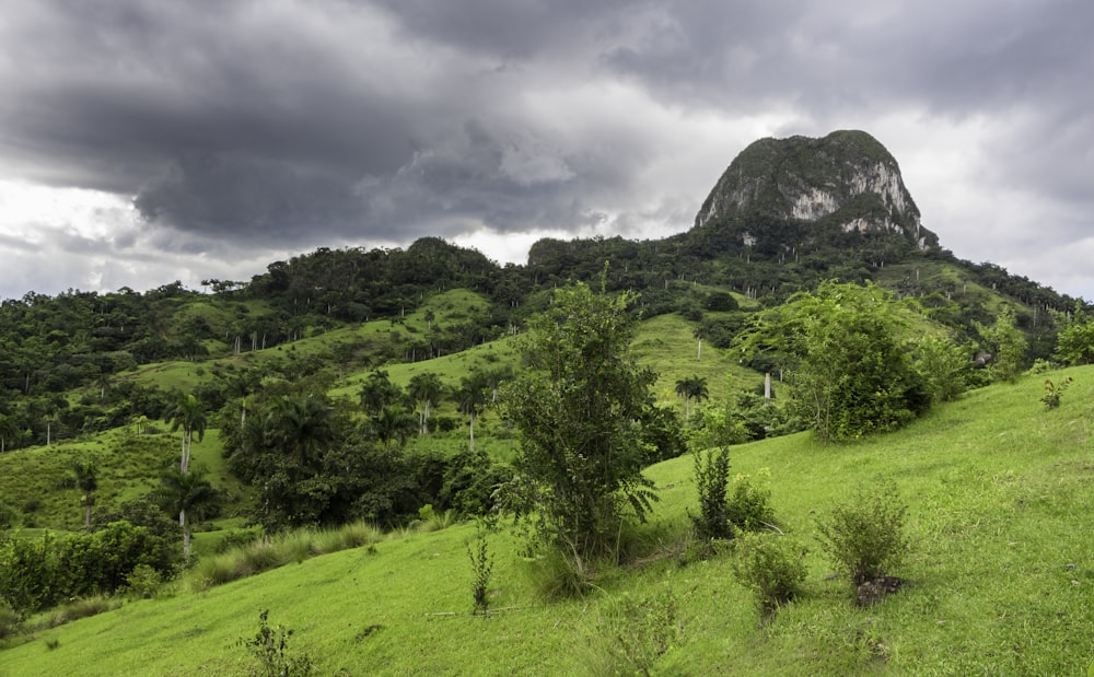 green grass field near mountain under white clouds during daytime