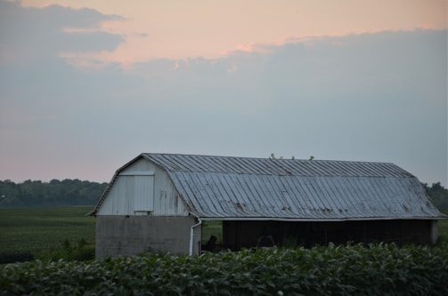 A rustic red barn framed by tall green trees under a soft sunset glow.