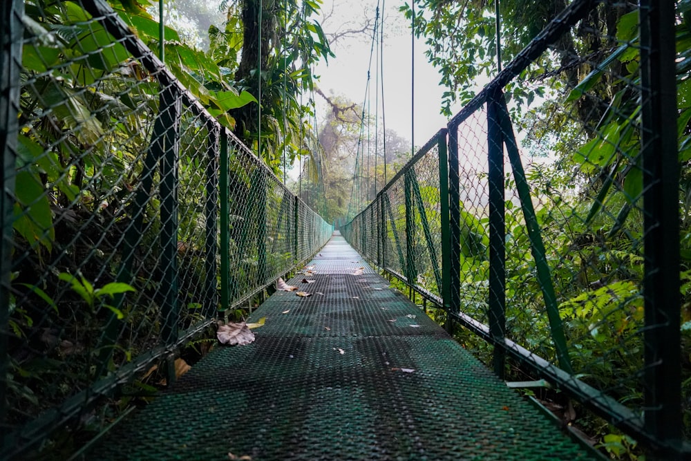 森の中の茶色の木製の橋