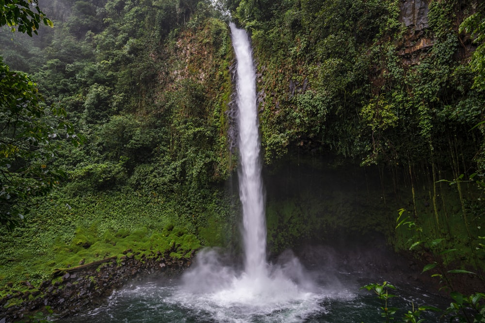 waterfalls in the middle of green trees