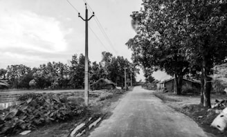 A rural road stretches into the distance surrounded by trees and small structures. On the left, fields and vegetation are visible, while electrical poles line the road. The sky is partly cloudy, creating a serene countryside scene.