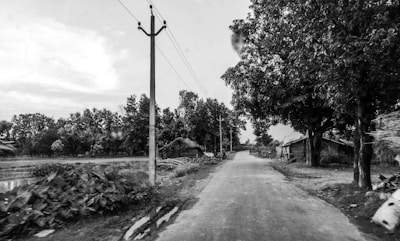 A rural road stretches into the distance surrounded by trees and small structures. On the left, fields and vegetation are visible, while electrical poles line the road. The sky is partly cloudy, creating a serene countryside scene.