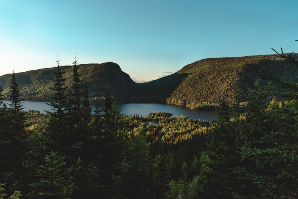 lake surrounded by green trees under blue sky during daytime