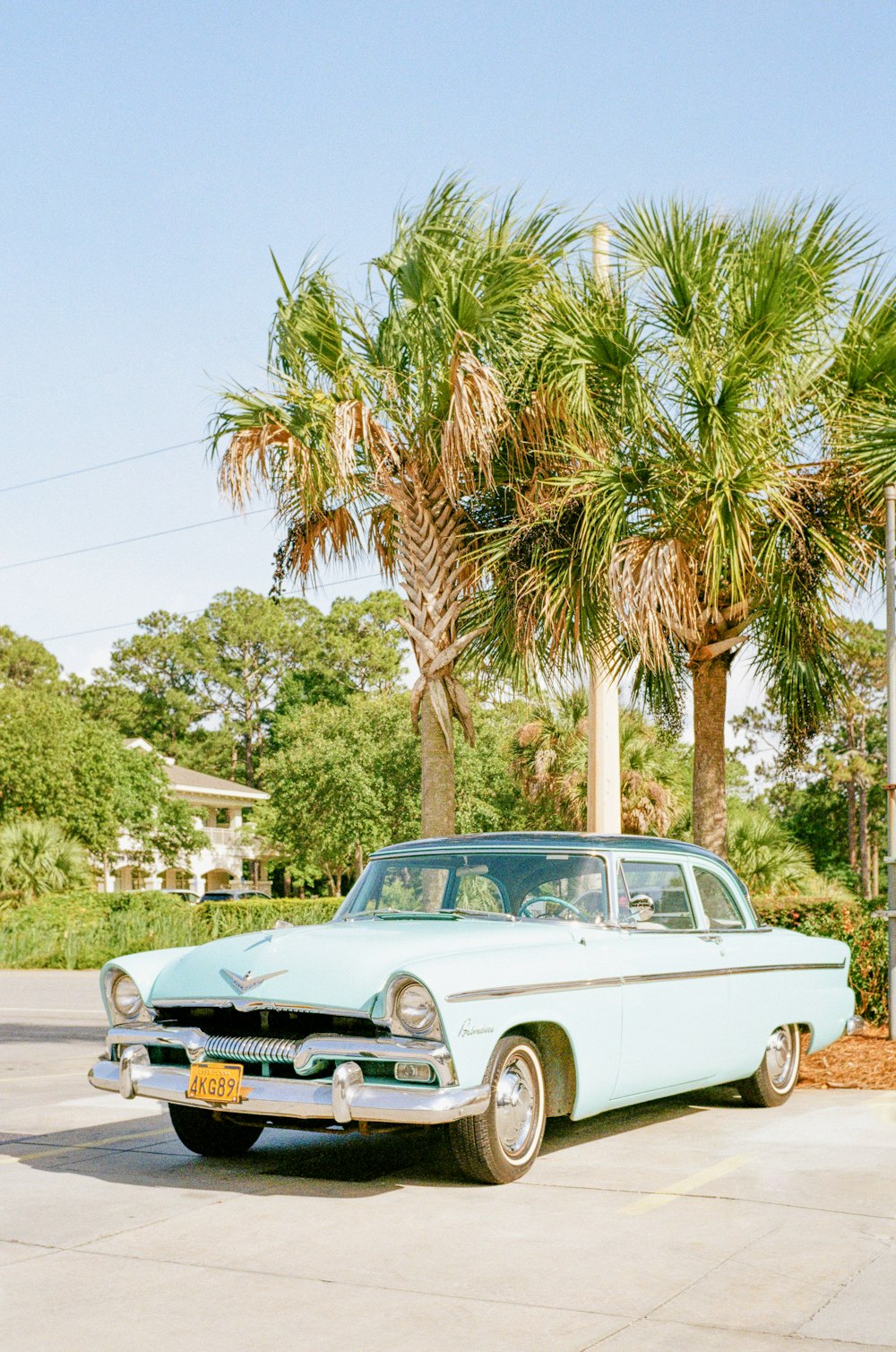 white classic car parked near palm tree during daytime