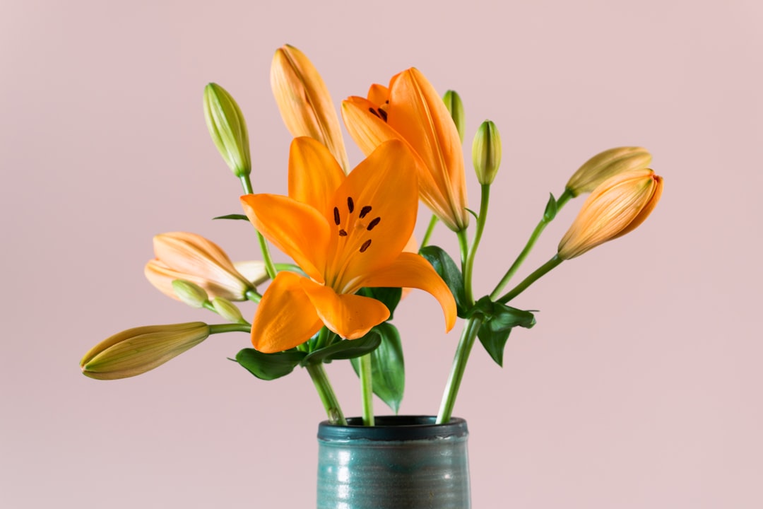 orange tulips in blue glass vase