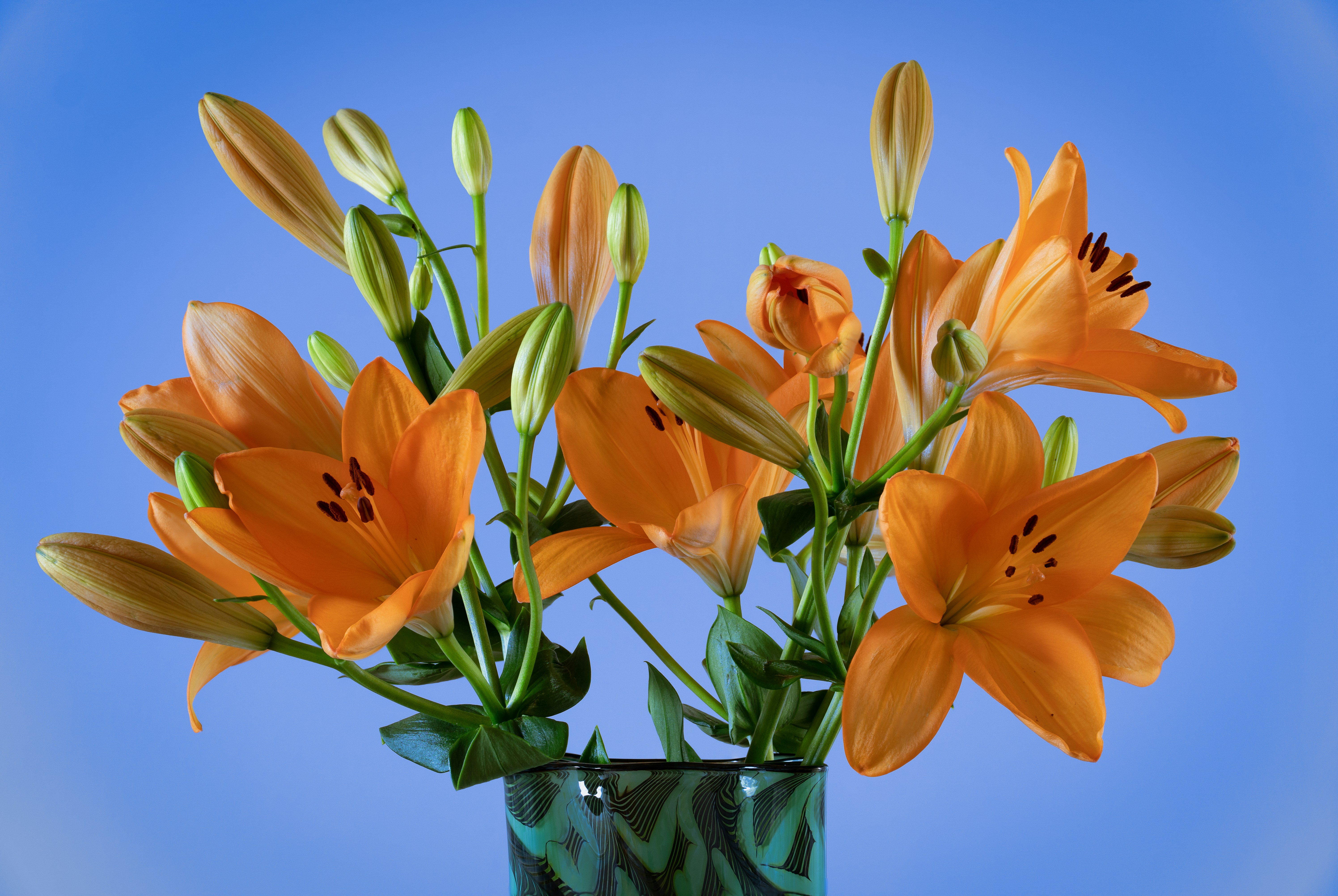 Flores amarelas e alaranjadas no vaso de vidro transparente foto – Imagem  grátis sobre Laranja na Unsplash, image size:3000x2010