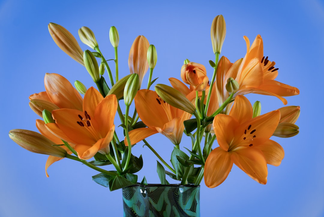 yellow and orange flowers in clear glass vase