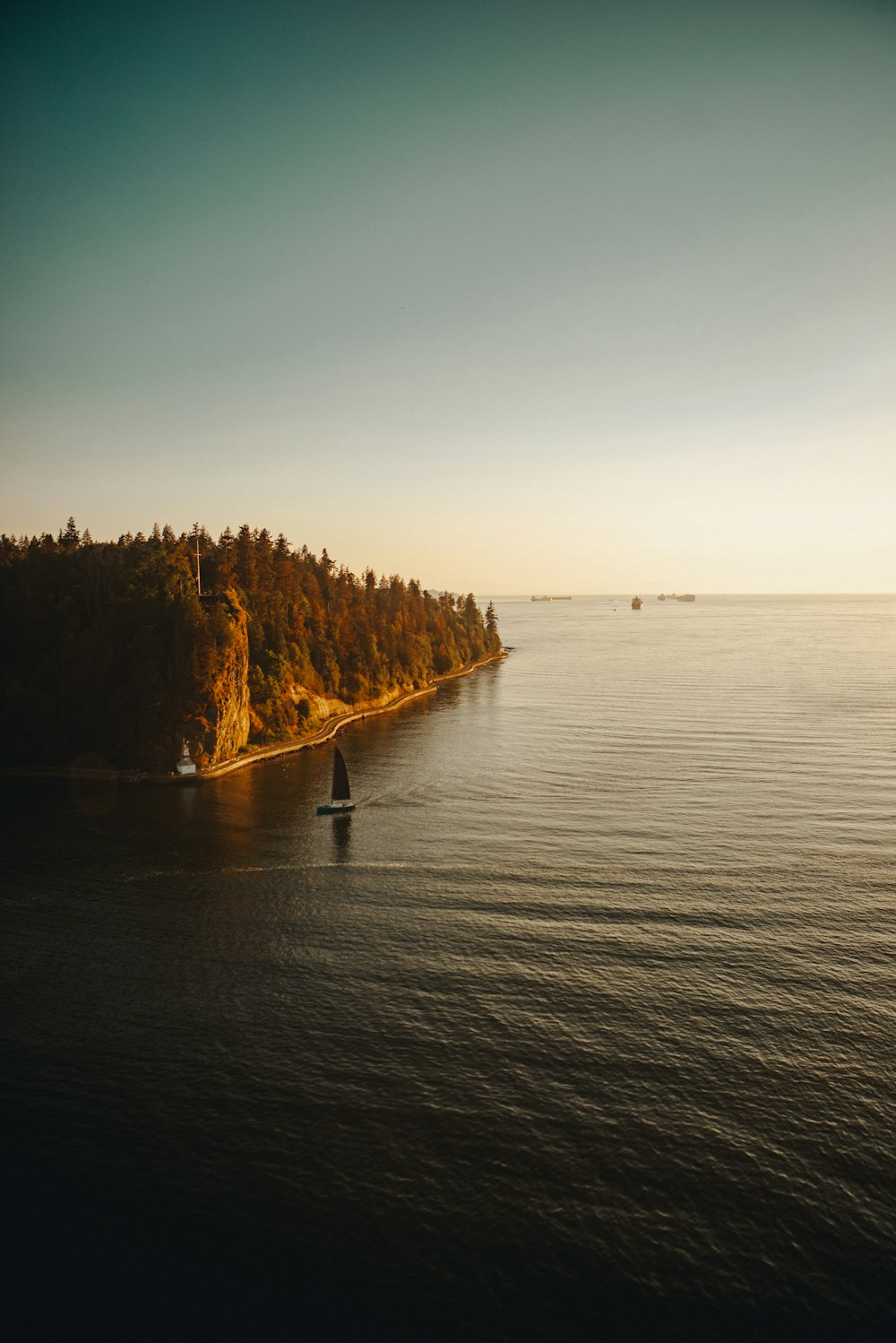 brown and green trees beside body of water during daytime