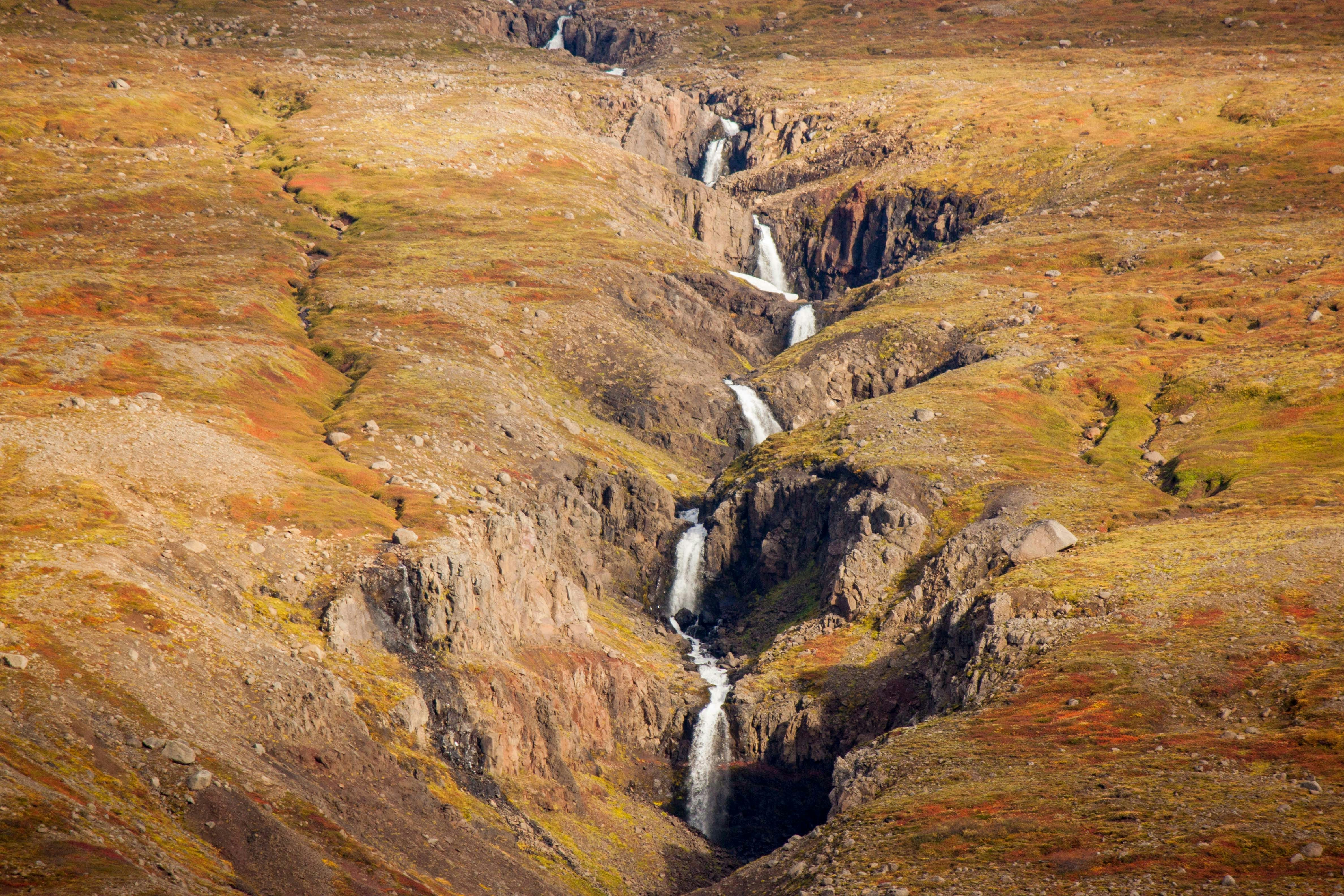 Photo by darinka_agam