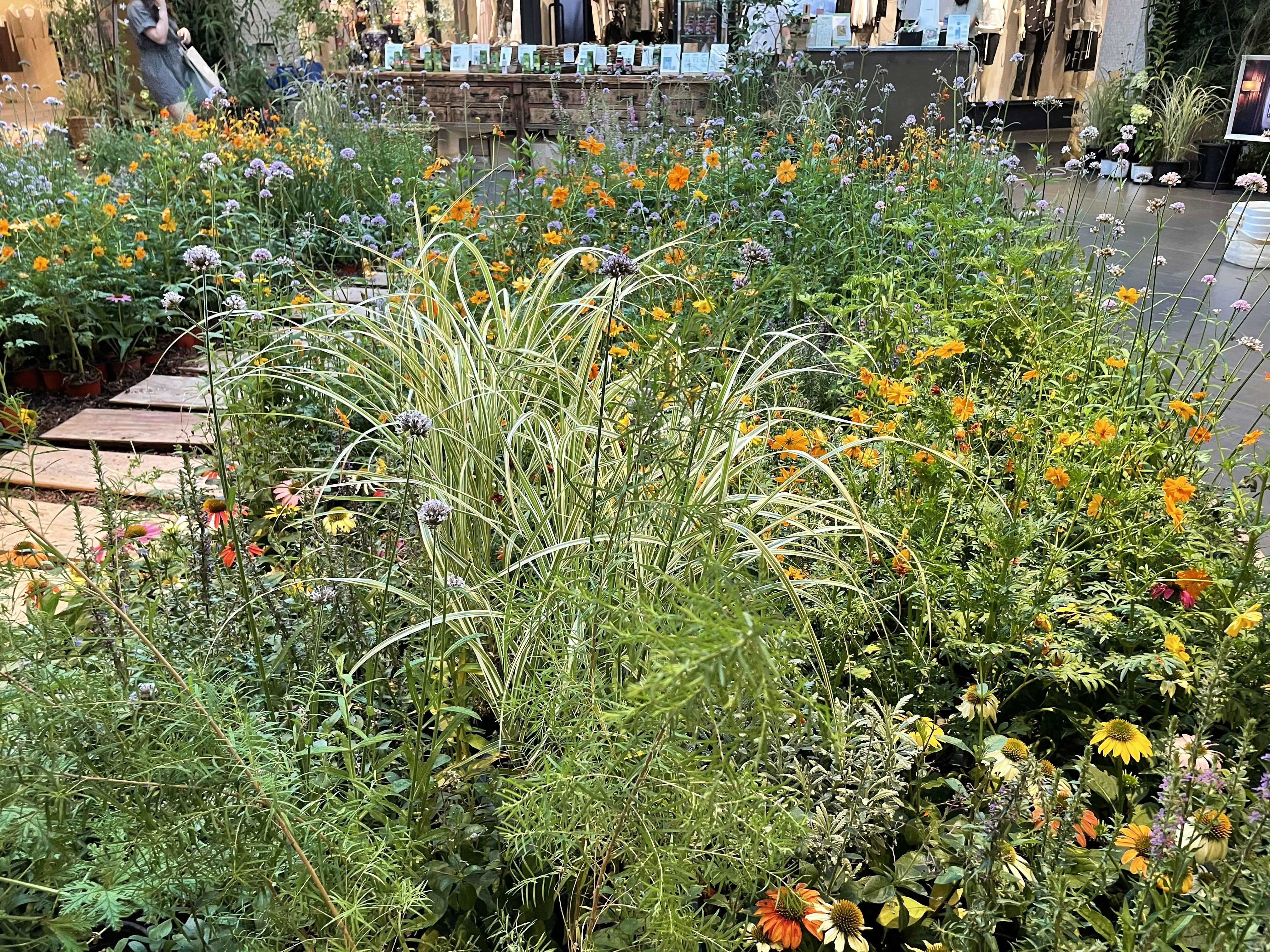 Premium Gardening Supplies Online