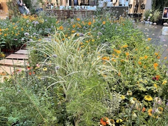 A lush garden area filled with various types of flowers and tall grasses. Bright orange and yellow blooms are interspersed with taller purple and white flowers. A walkway made of wooden planks runs through the plants. In the background, a person is tending to the garden near some display stands and potted plants, with a blurred setting that suggests an indoor or greenhouse environment.
