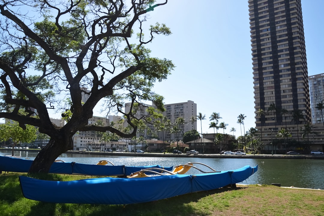 blue and white boat on green grass near green trees during daytime