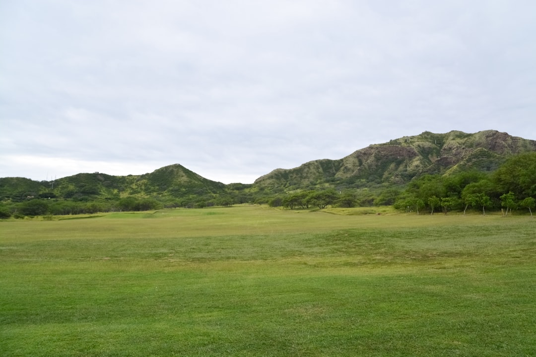 green grass field near mountain under white sky during daytime