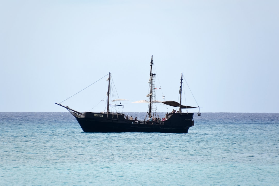 brown ship on sea during daytime