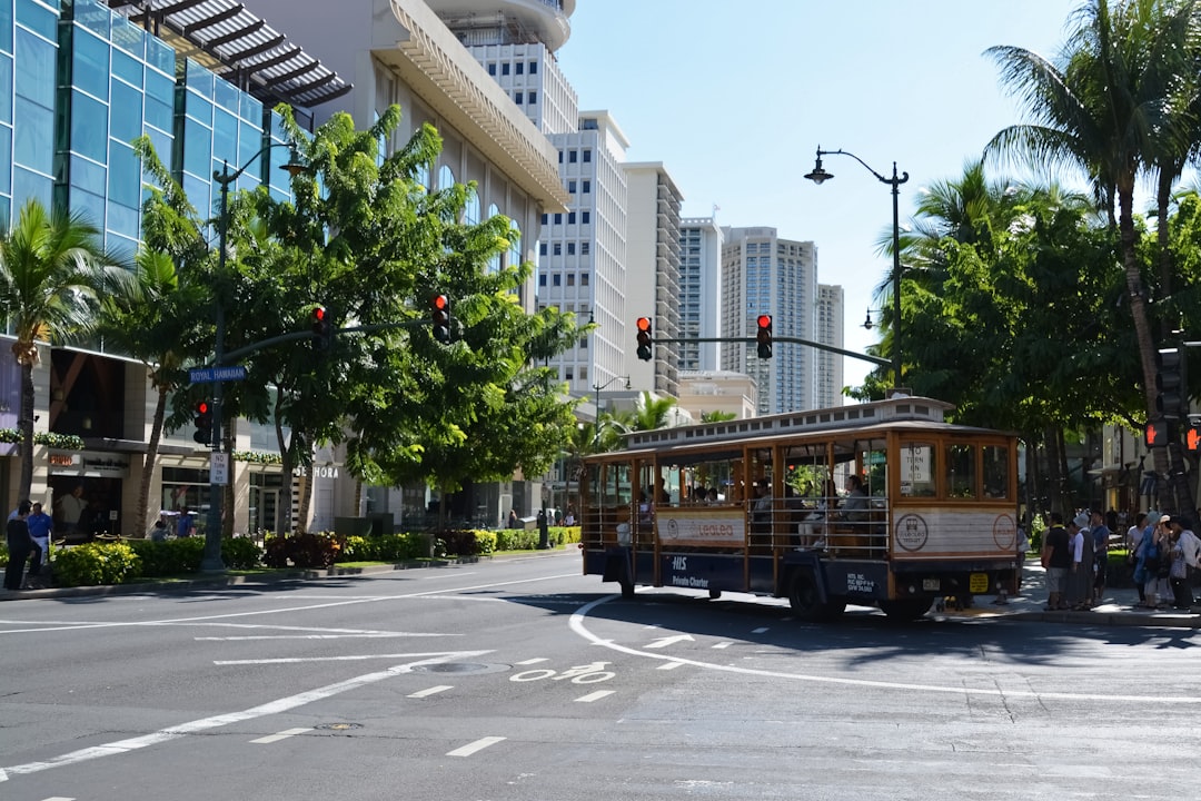 brown bus on road near green trees and white concrete building during daytime