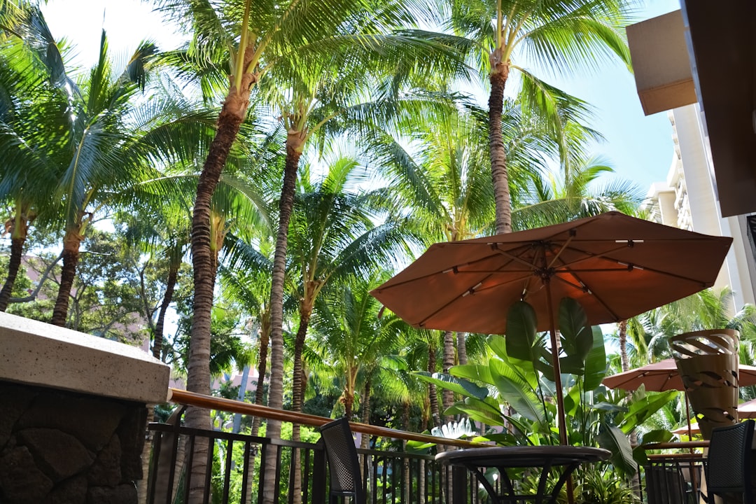 brown wooden outdoor lounge chair near palm trees during daytime