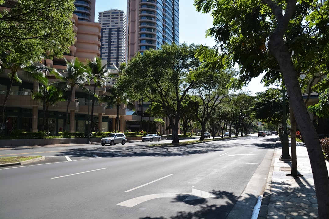 cars on road near trees and buildings during daytime