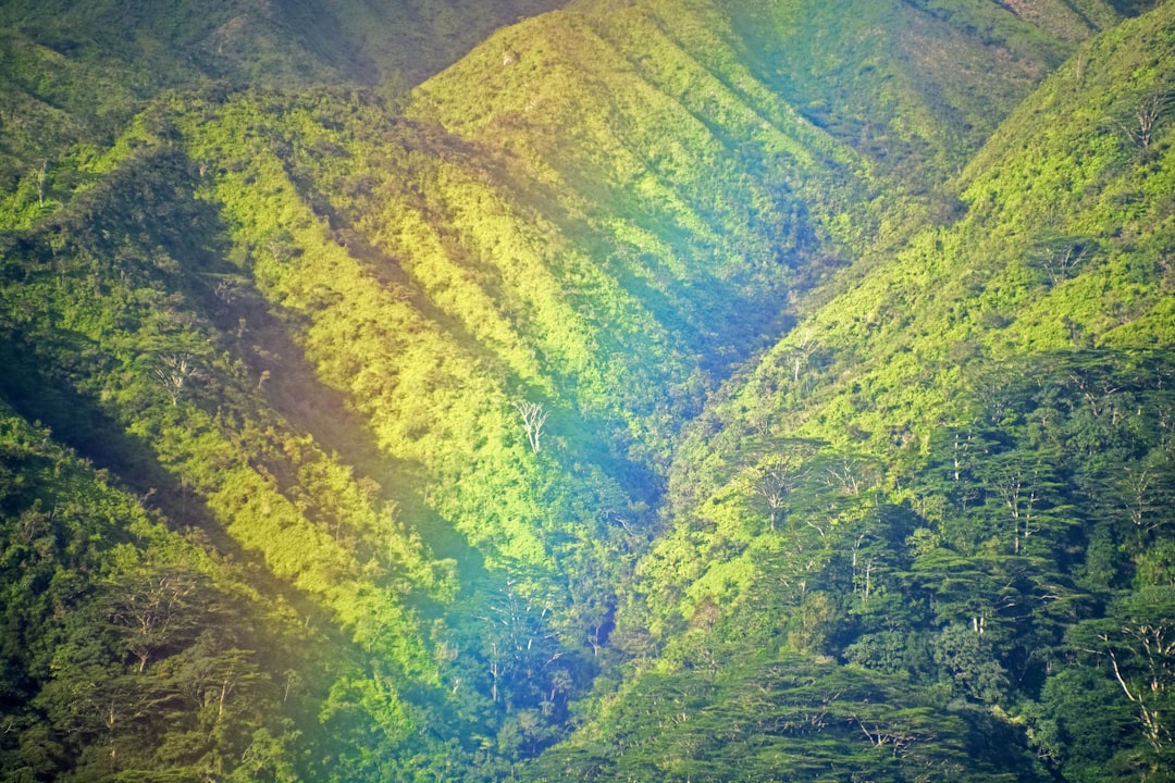 green and brown mountains during daytime