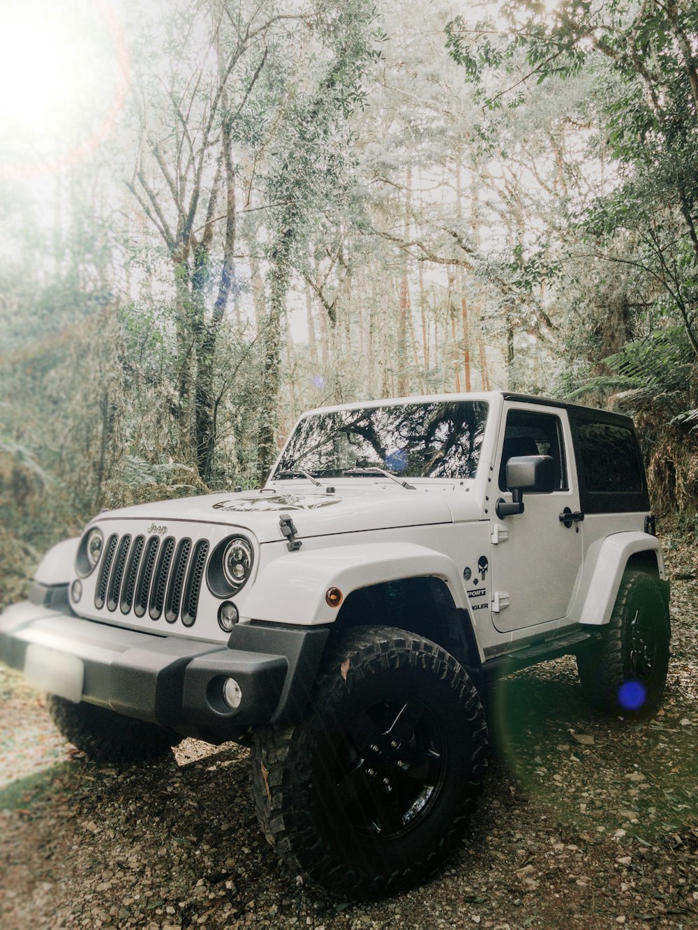 white jeep wrangler on forest during daytime