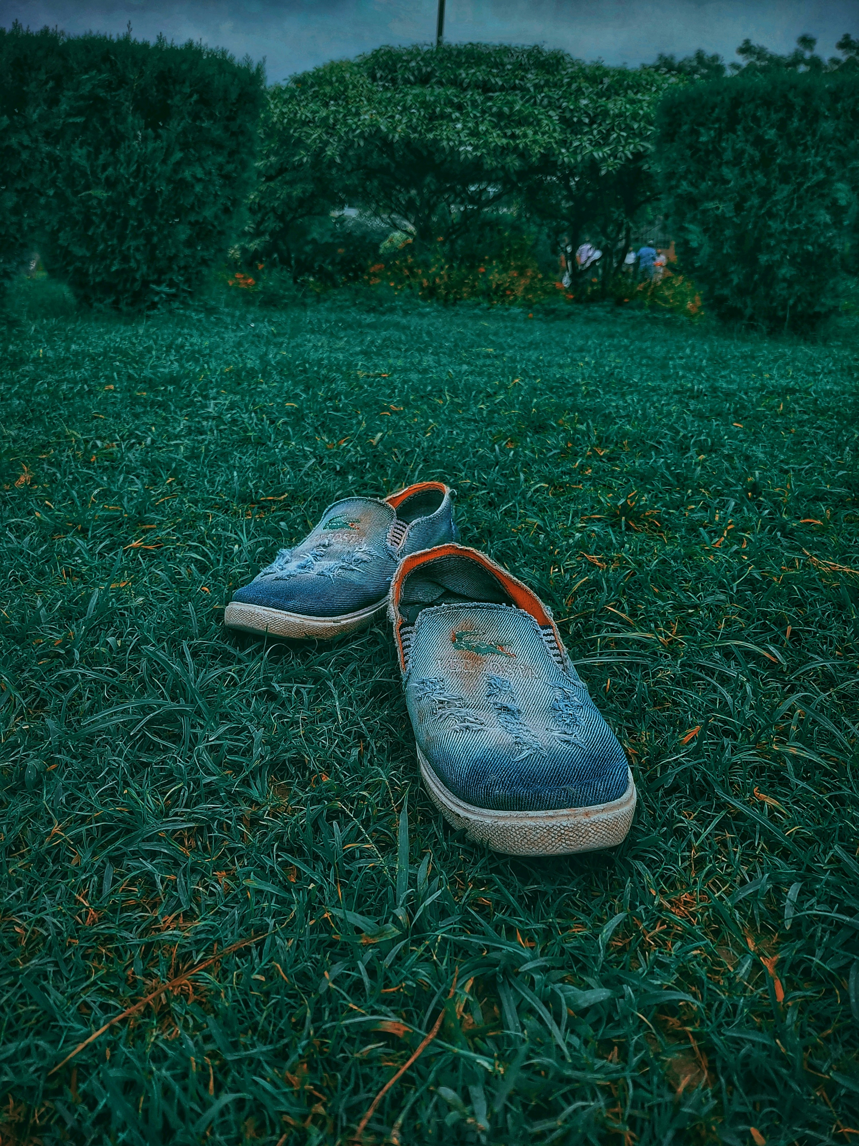 Cozy Slip-On Slippers